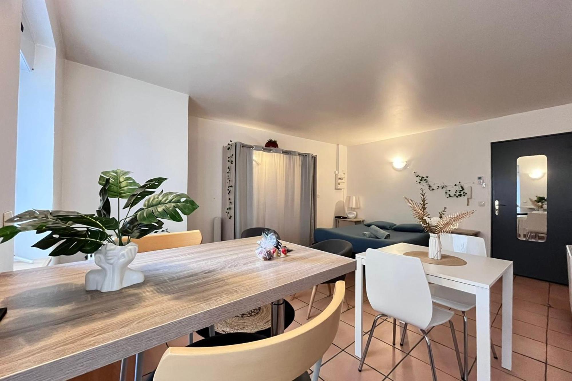 טורנון-סור-רון Le Studio Theolier Downtown - Close To Pedestrian Street מראה חיצוני תמונה