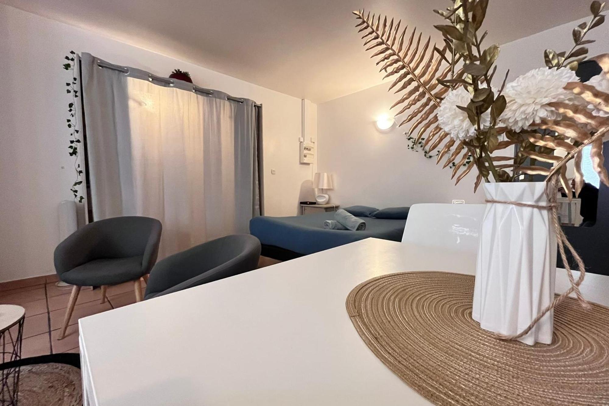 טורנון-סור-רון Le Studio Theolier Downtown - Close To Pedestrian Street מראה חיצוני תמונה