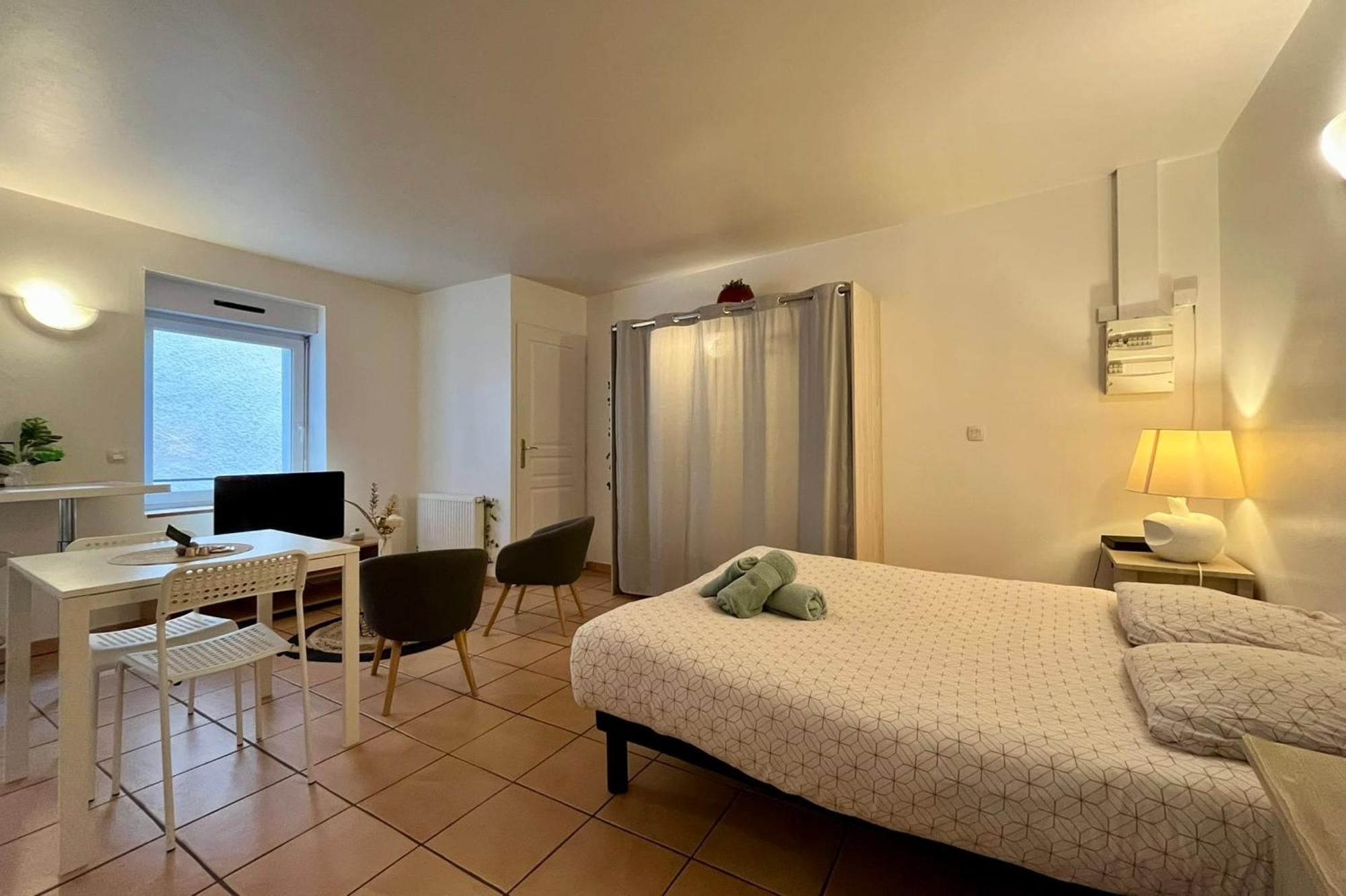 טורנון-סור-רון Le Studio Theolier Downtown - Close To Pedestrian Street מראה חיצוני תמונה