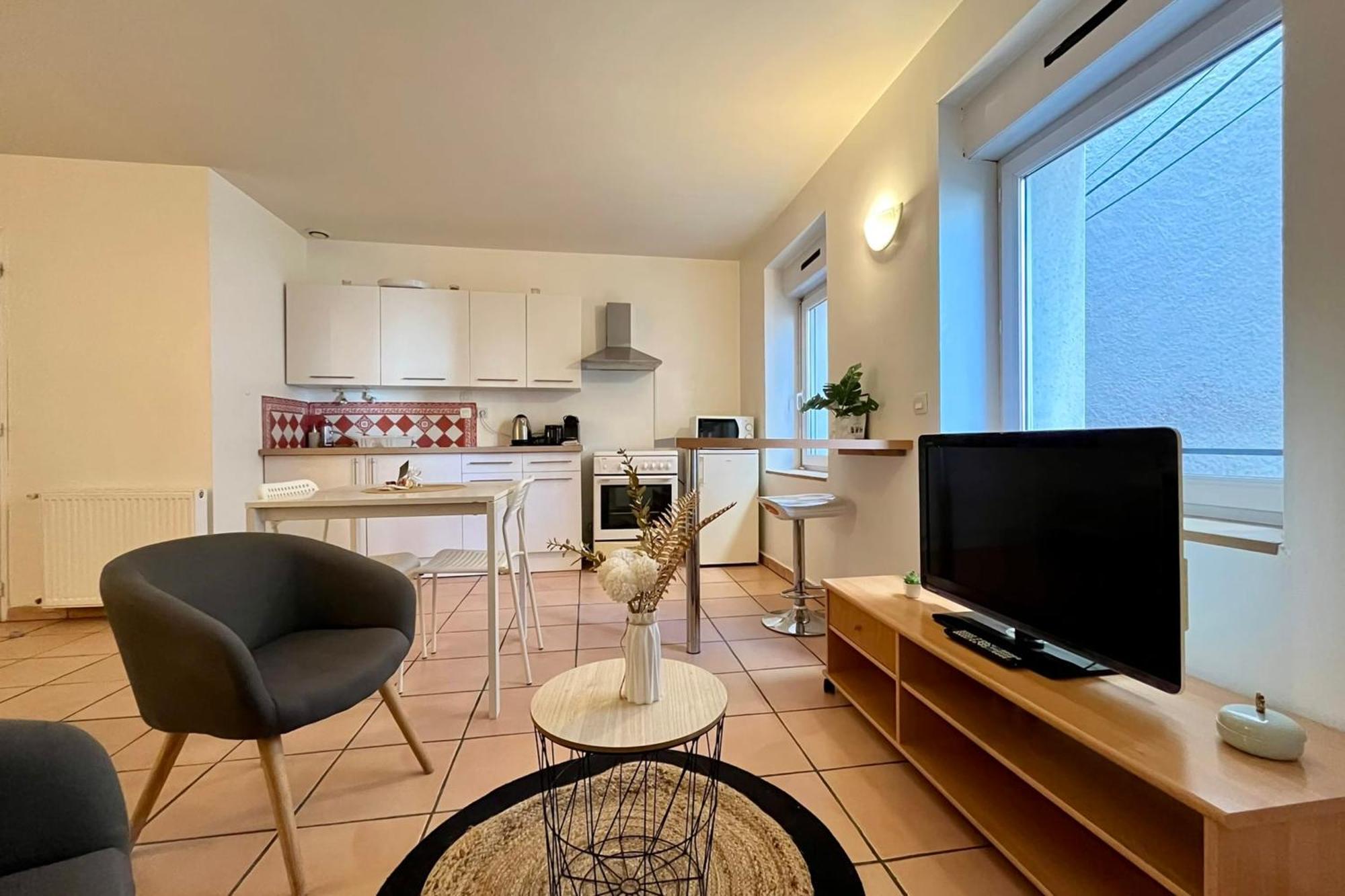 טורנון-סור-רון Le Studio Theolier Downtown - Close To Pedestrian Street מראה חיצוני תמונה