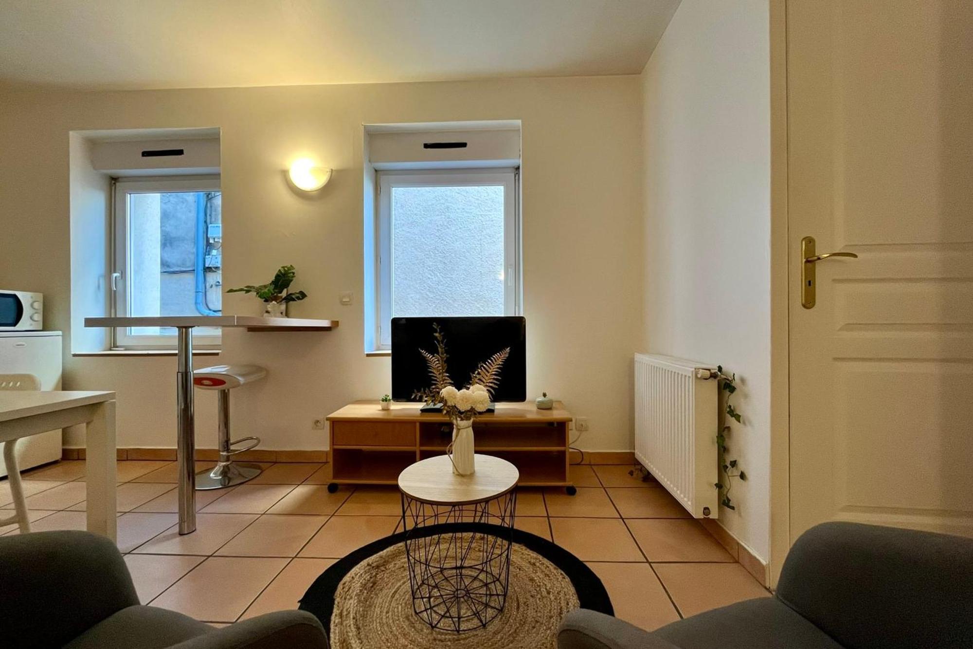 טורנון-סור-רון Le Studio Theolier Downtown - Close To Pedestrian Street מראה חיצוני תמונה