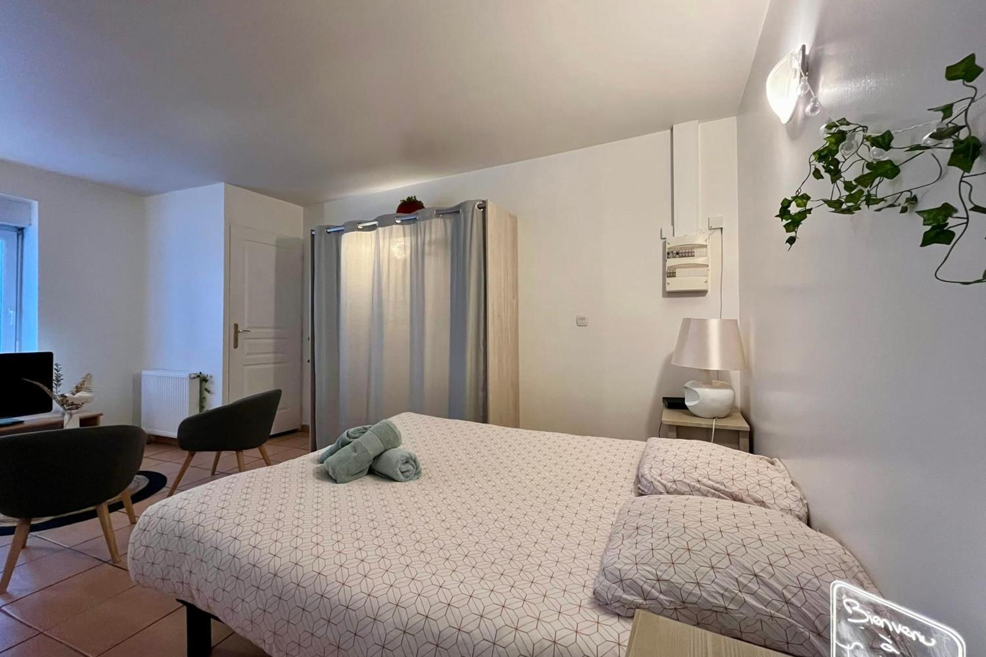 טורנון-סור-רון Le Studio Theolier Downtown - Close To Pedestrian Street מראה חיצוני תמונה