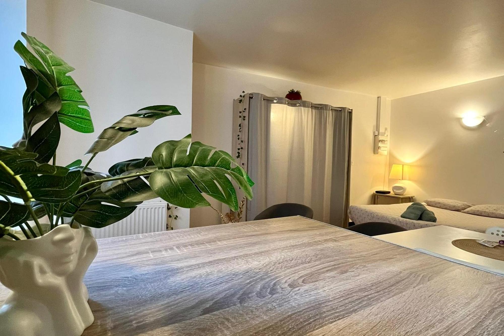 טורנון-סור-רון Le Studio Theolier Downtown - Close To Pedestrian Street מראה חיצוני תמונה